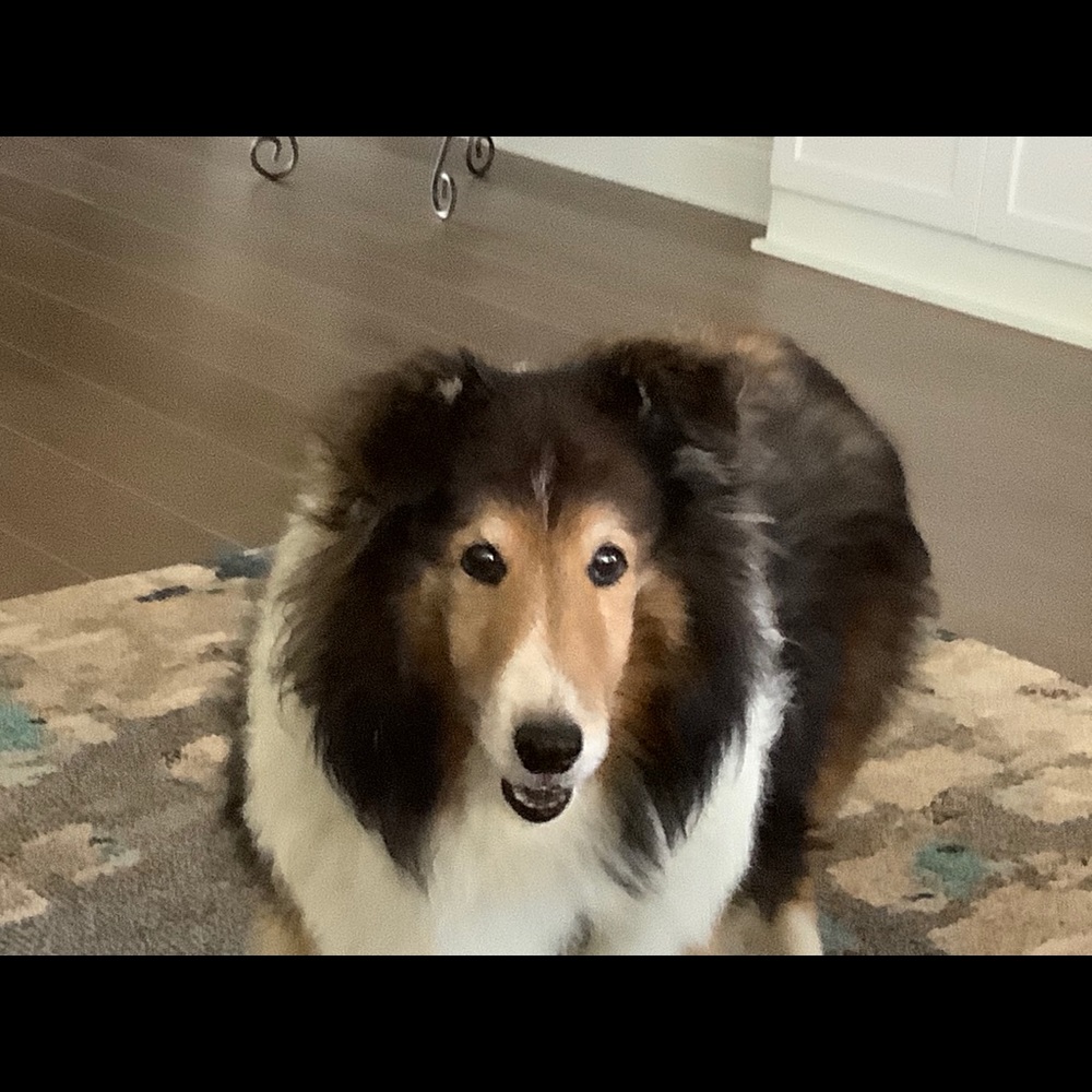 Meet your Posher, Maria